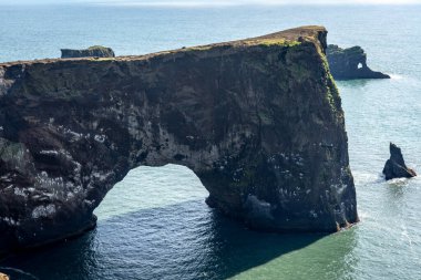 Dyrholaey sahil kayalıkları ve kayalık kemer, Vik, Güney İzlanda. Reyni.