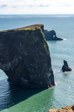 Dyrholaey sahil kayalıkları ve kayalık kemer, Vik, Güney İzlanda. Reyni.