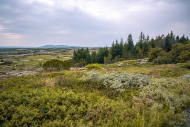 Avrasya ve Kuzey Amerika tektonik plakaları - Thingvellir Na