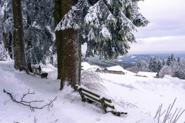 Bavyera Fo 'da karlı köknar ağaçları ile şaşırtıcı kış manzarası