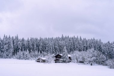 Bavyera Ormanı 'nda bol karlı güzel bir kış ormanı