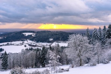 Almanya 'nın Bavyera Ormanı Ulusal Parkı' nda karlı köknar ağaçları ile muhteşem kış manzarası