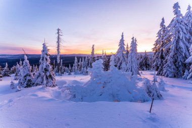 Almanya 'daki Bavyera Ormanı Ulusal Parkı' ndaki Dreisessel Dağları 'nın muhteşem kış manzarası.