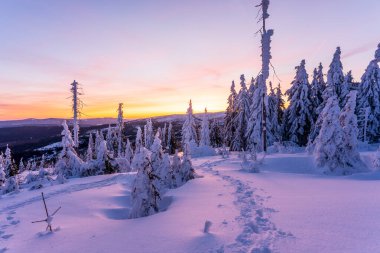 Almanya 'daki Bavyera Ormanı Ulusal Parkı' ndaki Dreisessel Dağları 'nın muhteşem kış manzarası.