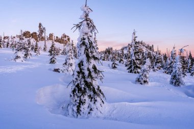 Almanya 'daki Bavyera Ormanı Ulusal Parkı' ndaki Dreisessel Dağları 'nın muhteşem kış manzarası.