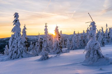 Almanya 'daki Bavyera Ormanı Ulusal Parkı' ndaki Dreisessel Dağları 'nın muhteşem kış manzarası.