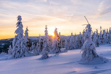 Almanya 'daki Bavyera Ormanı Ulusal Parkı' ndaki Dreisessel Dağları 'nın muhteşem kış manzarası.