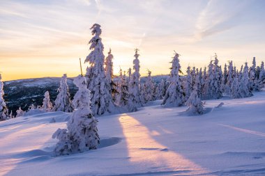 Almanya 'daki Bavyera Ormanı Ulusal Parkı' ndaki Dreisessel Dağları 'nın muhteşem kış manzarası.