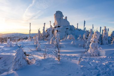 Almanya 'daki Bavyera Ormanı Ulusal Parkı' ndaki Dreisessel Dağları 'nın muhteşem kış manzarası.