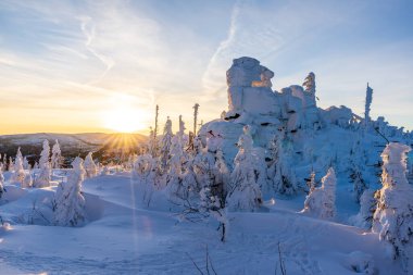 Almanya 'daki Bavyera Ormanı Ulusal Parkı' ndaki Dreisessel Dağları 'nın muhteşem kış manzarası.