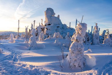 Almanya 'daki Bavyera Ormanı Ulusal Parkı' ndaki Dreisessel Dağları 'nın muhteşem kış manzarası.