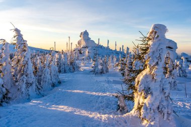Almanya 'daki Bavyera Ormanı Ulusal Parkı' ndaki Dreisessel Dağları 'nın muhteşem kış manzarası.