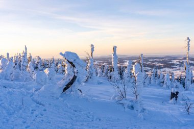 Almanya 'daki Bavyera Ormanı Ulusal Parkı' ndaki Dreisessel Dağları 'nın muhteşem kış manzarası.