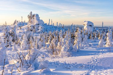 Almanya 'daki Bavyera Ormanı Ulusal Parkı' nda Dreisessel Dağları