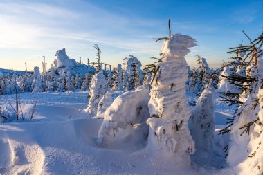 Almanya 'daki Bavyera Ormanı Ulusal Parkı' nda Dreisessel Dağları