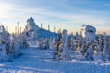 Almanya 'daki Bavyera Ormanı Ulusal Parkı' nda Dreisessel Dağları