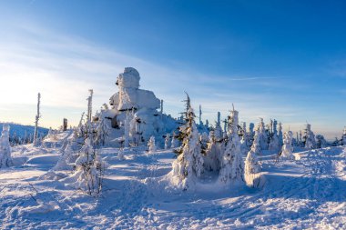 Almanya 'daki Bavyera Ormanı Ulusal Parkı' nda Dreisessel Dağları