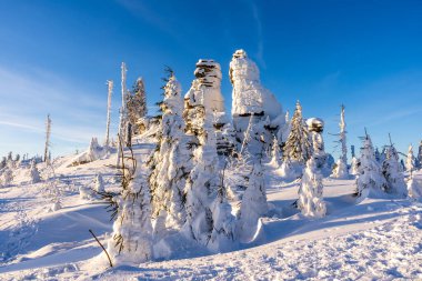 Almanya 'daki Bavyera Ormanı Ulusal Parkı' nda Dreisessel Dağları
