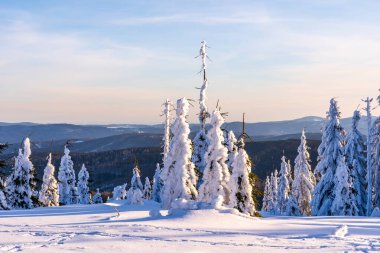 Almanya 'daki Bavyera Ormanı Ulusal Parkı' nda Dreisessel Dağları