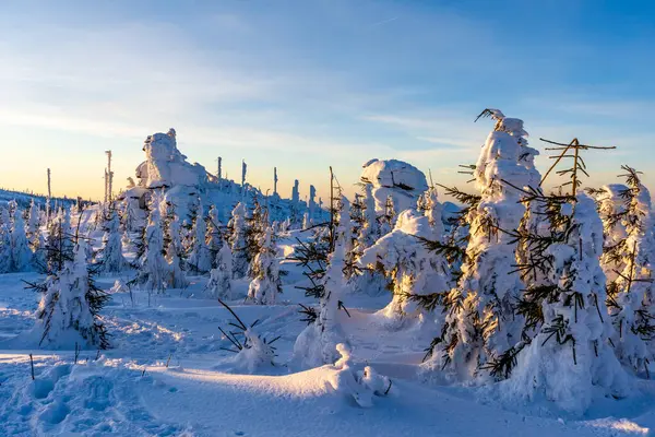 Almanya 'daki Bavyera Ormanı Ulusal Parkı' ndaki Dreisessel Dağları 'nın muhteşem kış manzarası.