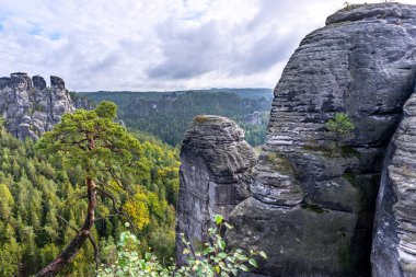 Sakson İsviçre 'deki Elbe Kumtaşı Dağları