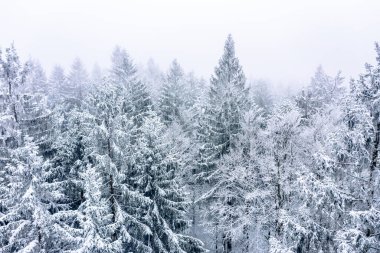 B bölgesindeki karla kaplı ağaçların nefes kesici bir hava perspektifi.