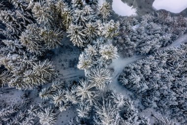 Bavyera Ulusal Ormanı 'ndaki karlı bir kış ormanının havadan görünüşü