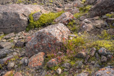 Şelale Nykurhylsfoss, diğer adıyla Sveinsstekksfoss, in 
