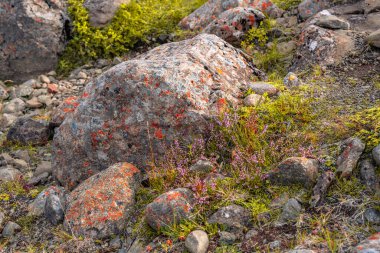 Şelale Nykurhylsfoss, diğer adıyla Sveinsstekksfoss, in 