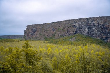 Kanyon Asbyrgi jokulsargljufur Milli Parkı, İzlanda