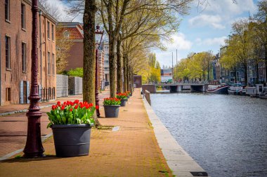 Alacakaranlıkta Amsterdam 'ın güzelliği, şehrin ufku ve kanallar batan güneşin yumuşak renklerinde parlarken.