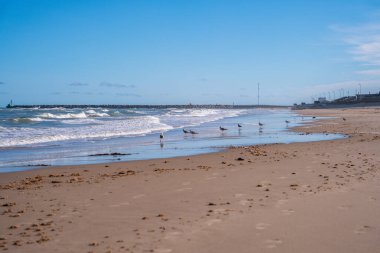 Hirtshals 'da canlı bir kıyı sahnesi, Skagerrak suları açık mavi gökyüzünün altında kumlu sahili kucaklıyor.