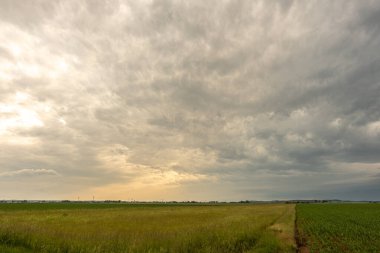 Bir tarlada fırtına bulutları, kasırga benzeri süperhücre, aşırı hava, tehlikeli fırtına. Bavyera, Almanya