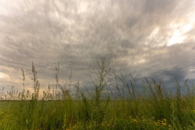 Bir tarlada fırtına bulutları, kasırga benzeri süperhücre, aşırı hava, tehlikeli fırtına. Bavyera, Almanya