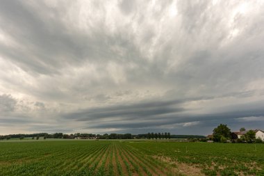 Bir tarlada fırtına bulutları, kasırga benzeri süperhücre, aşırı hava, tehlikeli fırtına. Bavyera, Almanya