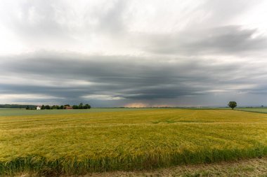 Bir tarlada fırtına bulutları, kasırga benzeri süperhücre, aşırı hava, tehlikeli fırtına. Bavyera, Almanya