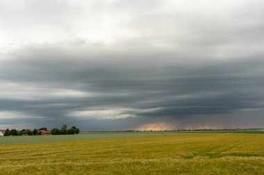 Bir tarlada fırtına bulutları, kasırga benzeri süperhücre, aşırı hava, tehlikeli fırtına. Bavyera, Almanya