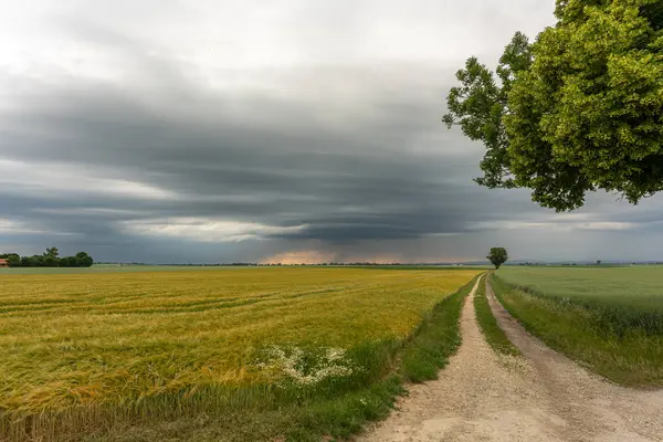 Bir tarlada fırtına bulutları, kasırga benzeri süperhücre, aşırı hava, tehlikeli fırtına. Bavyera, Almanya