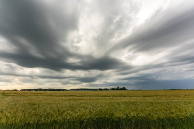 Bir tarlada fırtına bulutları, kasırga benzeri süperhücre, aşırı hava, tehlikeli fırtına. Bavyera, Almanya