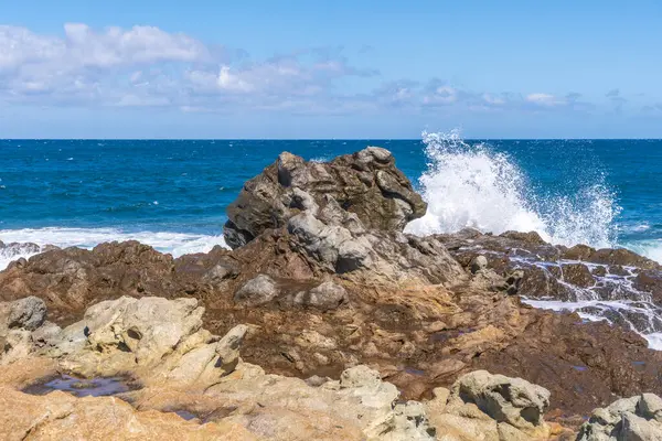 Korsika 'da Calvi Kalesi' nin panoramik manzarası