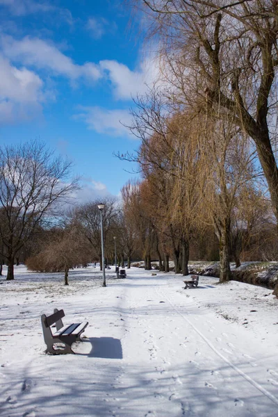 2023 Bialystok Polsko Zimní Slunečné Ráno Lavičky Parku — Stock fotografie