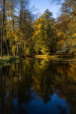 15.02.2024 Bialystok Poland.Sonbahar zamanı ve sudaki renkli ağaçların yansıması.