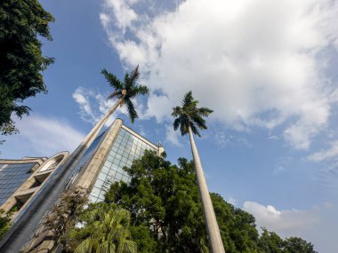 Delhi 'de popüler temiz bina