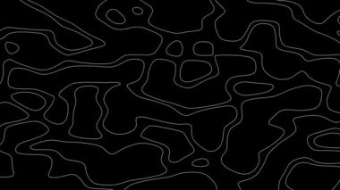 Animasyon Topografik Konferans Haritası. Soyut hareketli topografik harita çizgileri. Dalgalı Hatlar Arkaplan 4K Tam HD Kusursuz Döngü. Soyut siyah dijital parlak doku dalga malzeme hareket arkaplanı. 