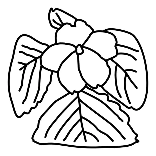 Cesur hatları, basit taç yaprakları ve detaylı yaprakları olan el yapımı bir çiçek. Botanik tasarımlar, boyama sayfaları ya da doğal temalı grafikler için mükemmel..