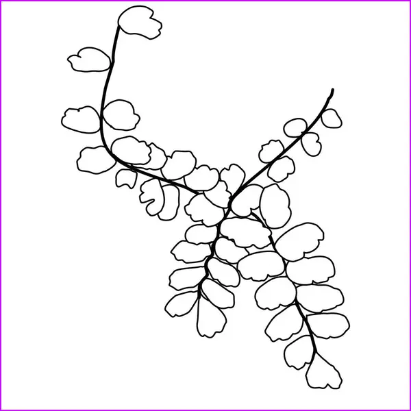 Yapraklı basit bir el yapımı bitki çizimi. Ekolojik markalaşma, dekoratif desenler ya da botanik yüzey tasarımı için mükemmel.