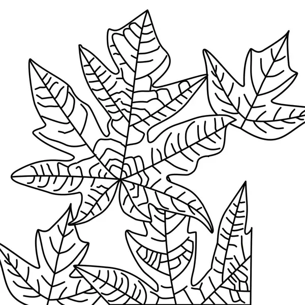 Leaves in line art with detailed style. Clean botanical drawing for modern look. Minimal foliage outline design. Elegant detailed leaves for pattern. Simple line art for projects