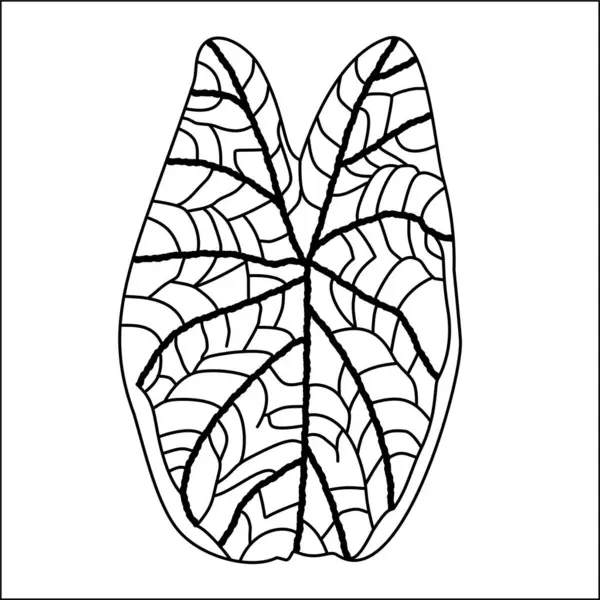 Detaylı bir şekilde yaprak hatlarıyla. Görünüşte temiz botanik sanatı. Projeler için zarif bir yaprak çizimi. Basit detaylı yaprak tasarımı. Desen kullanımı için modern botanik anahat