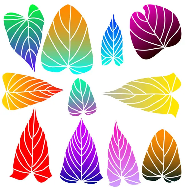 Değişik şekillerde renkli yapraklar. Modern botanik tasarımı. Kalıplar için canlı yaprak koleksiyonu. Yaratıcı renk karışımlı basit çizgi sanatı. Moda dekoratif yaprak sanatı