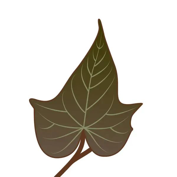 Yumuşak eğimli kahverengi yaprak ve organik damarlar. Doğal zarafetle toprak ve sakin bir ton. Kırsal temalar için ideal.